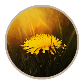 The Relationship Within - An exploration of self-acceptance