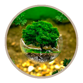 Monday Meditation: Planting the Seed for the Week